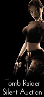 Katie's Tomb Raider Silent Auction