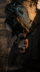 TOMB RAIDER screenshot