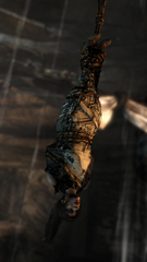 TOMB RAIDER screenshot