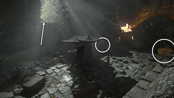 Rise of the Tomb Raider screenshot