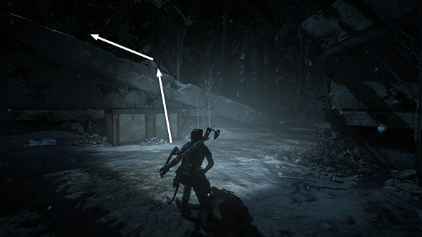 Rise of the Tomb Raider screenshot