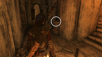 Rise of the Tomb Raider screenshot