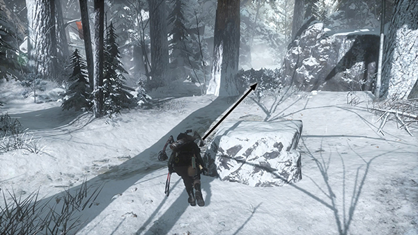 Rise of the Tomb Raider screenshot