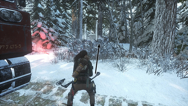 Rise of the Tomb Raider screenshot