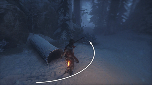 Rise of the Tomb Raider screenshot