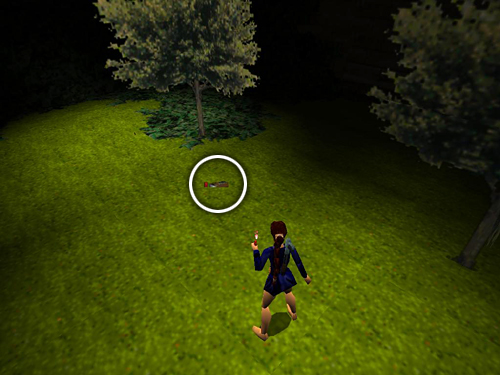 Tomb Raider 2 screenshot