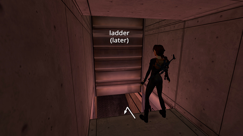 Tomb Raider Chronicles Remastered screenshot