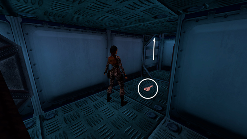 Tomb Raider Chronicles Remastered screenshot