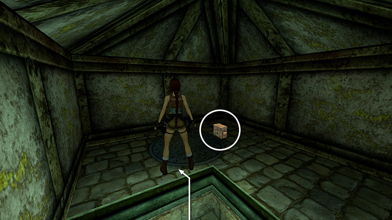 Tomb Raider Chronicles Remastered screenshot