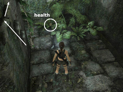 Tomb Raider Underworld screenshot