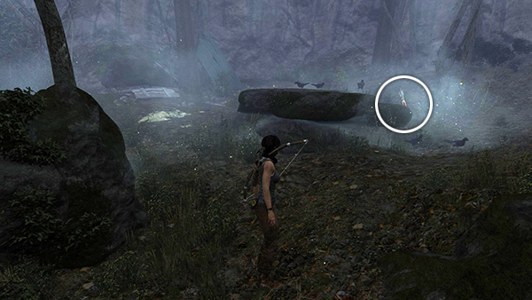 TOMB RAIDER screenshot