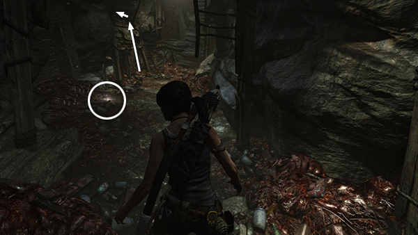 TOMB RAIDER screenshot