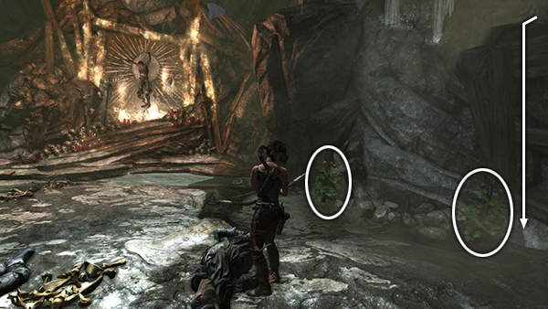 TOMB RAIDER screenshot