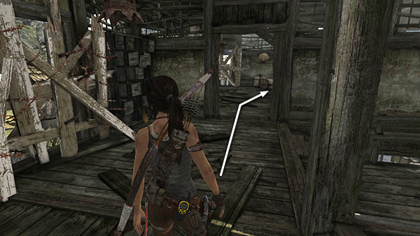 TOMB RAIDER screenshot