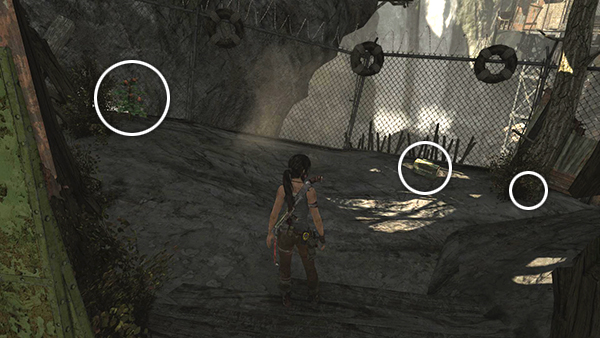 TOMB RAIDER screenshot