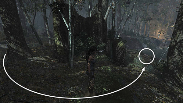 TOMB RAIDER screenshot