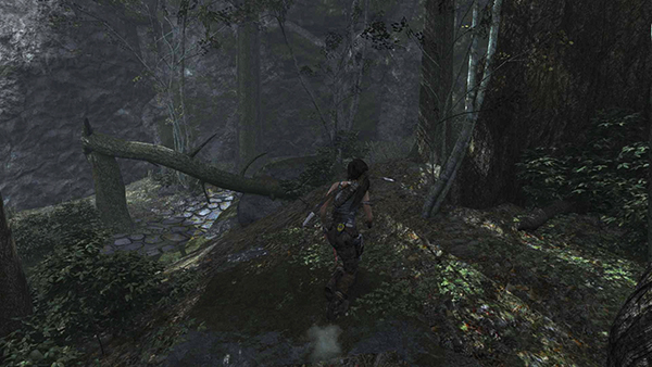 TOMB RAIDER screenshot