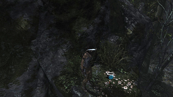 TOMB RAIDER screenshot