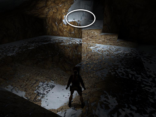 Tomb Raider Golden Mask screenshot